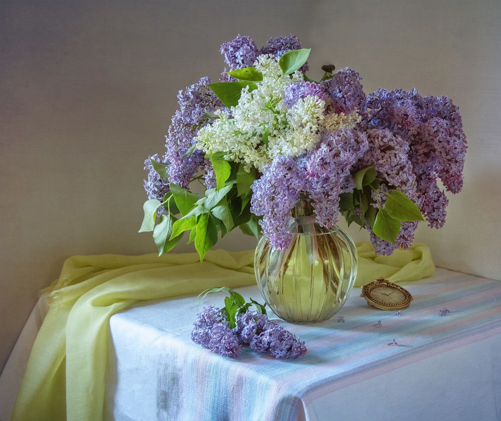 Опять цветет сирень