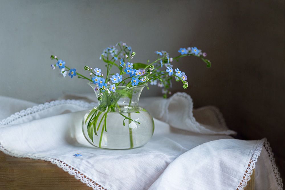 Незабудки, незабудки...