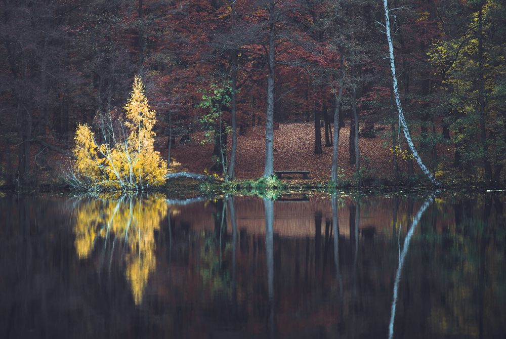 Осень на мельничном озере.