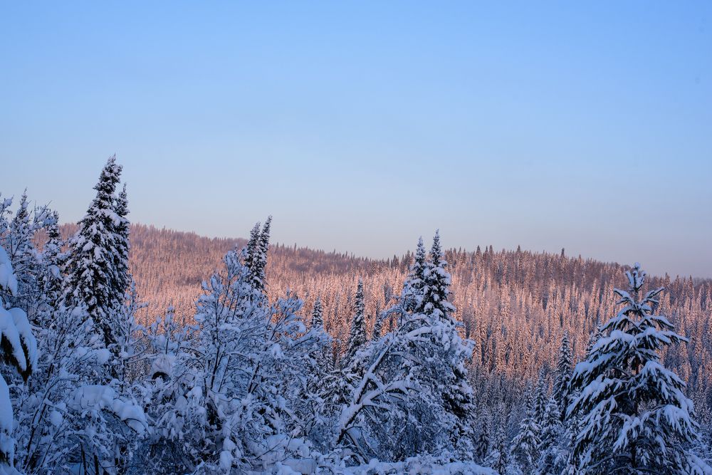 Photograph by Михаил Рогачев