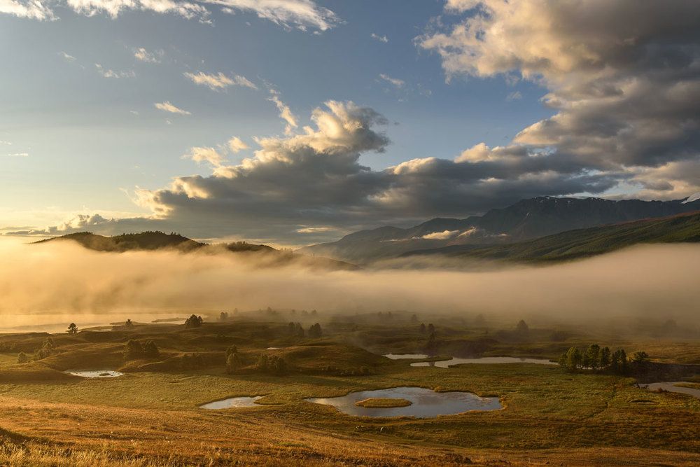 Золото рассвета