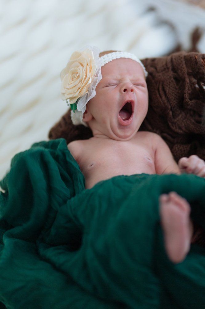 Photograph by Алексей Молчан