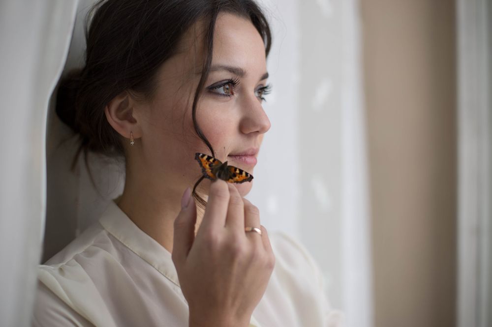 Зимняя бабочка