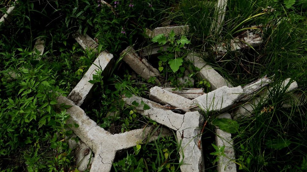 Photograph by Юрий Шмидт