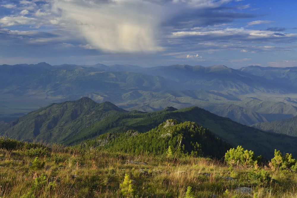 Филаретова гора