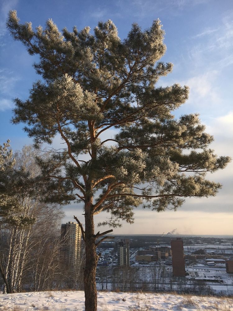 Соседство