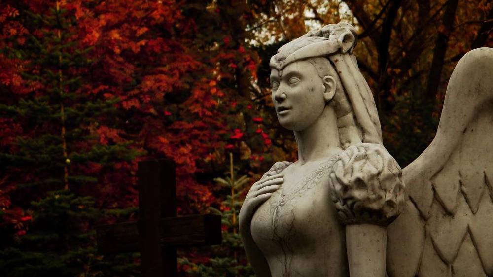 Photograph by Юрий Шмидт