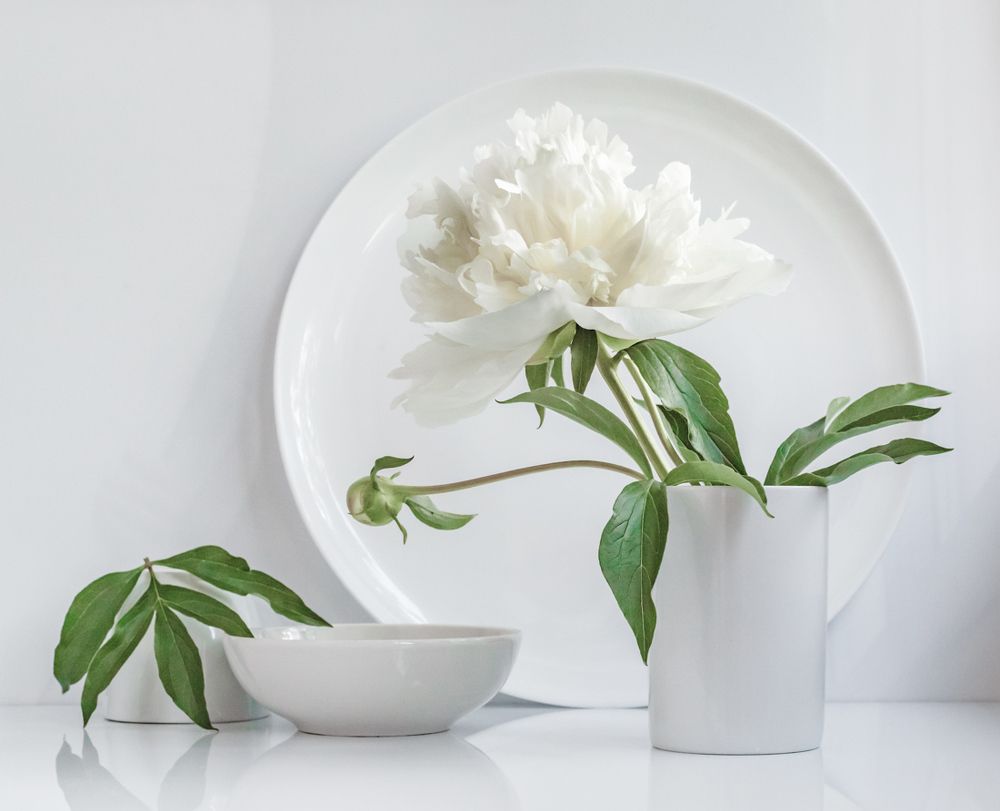 Бело-зеленый минимализм