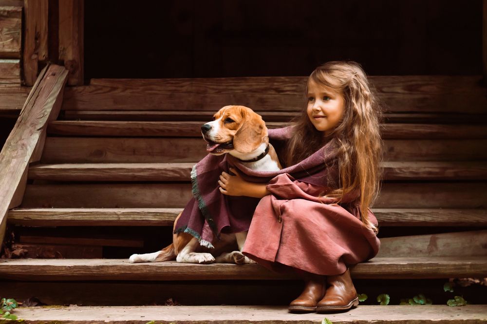 Photo #2745849
