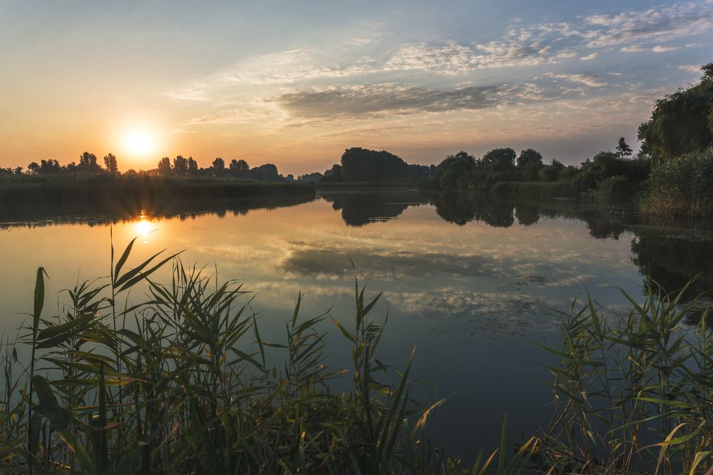 Рассветные Кочеты