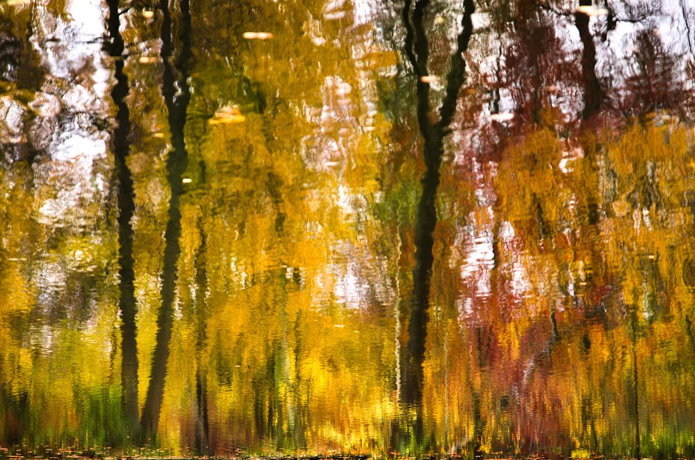 Осенняя акварель