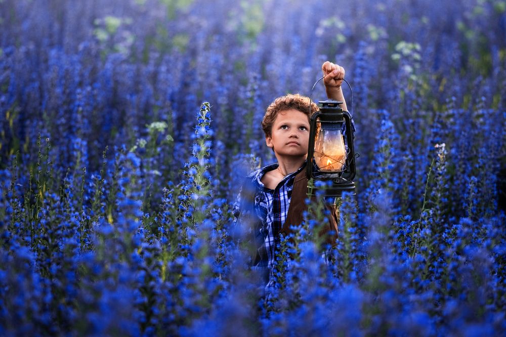 По дороге домой