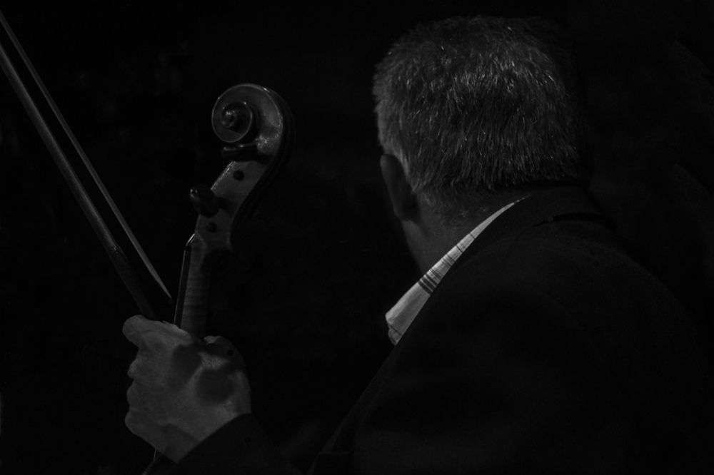 The violonist