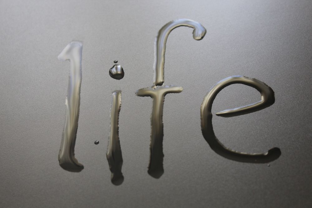 Photograph by Leonov Sergey