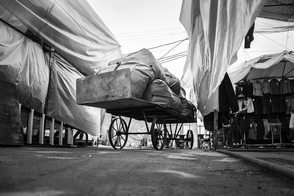 Photograph by Рогова Наталья