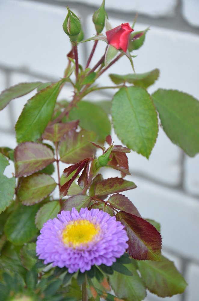 Photograph by Наталья Иванкова