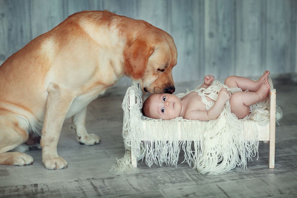 Фотография автора Мария Хан