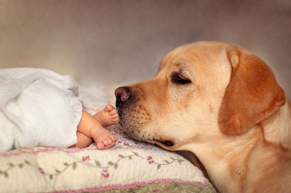 Фотография автора Мария Хан