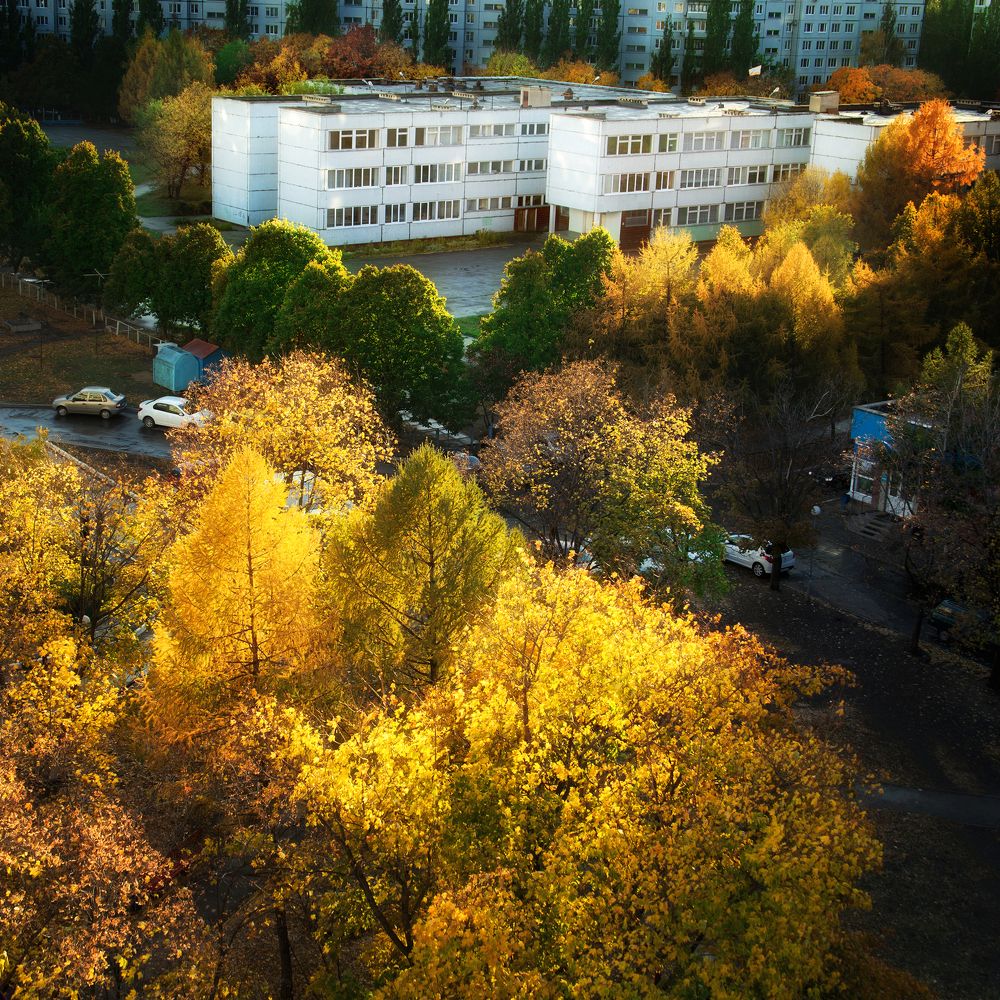 "Осень городская"