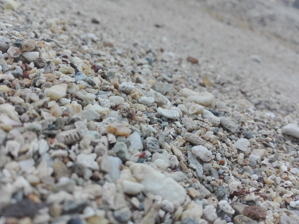 beach rocks