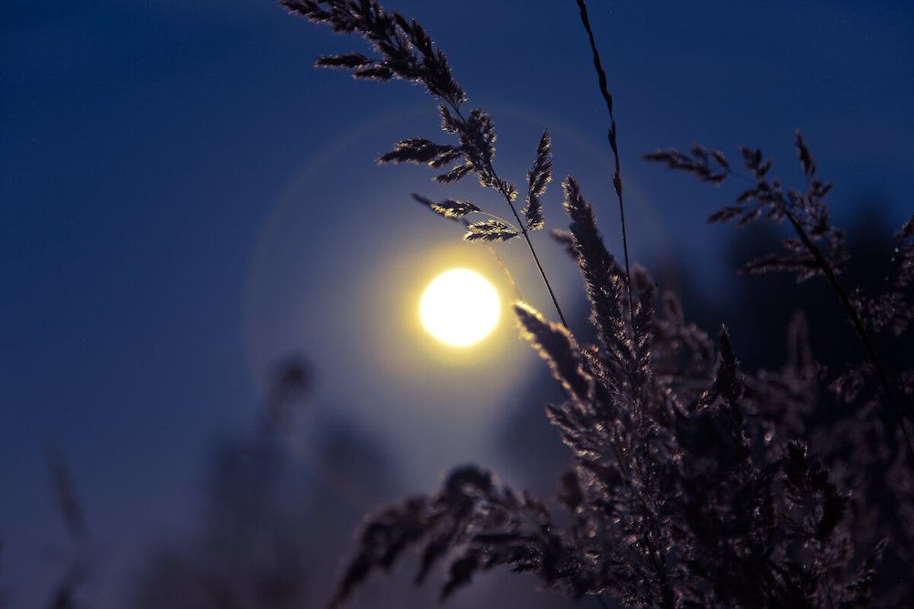 Photograph by Тимур