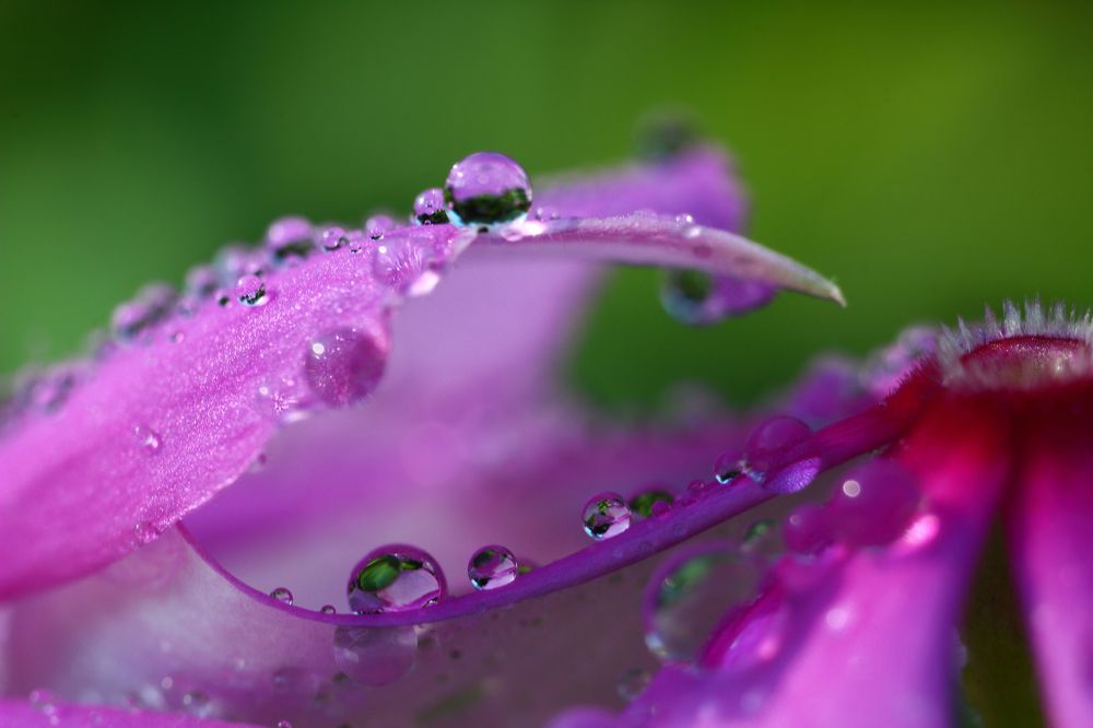 After the rain