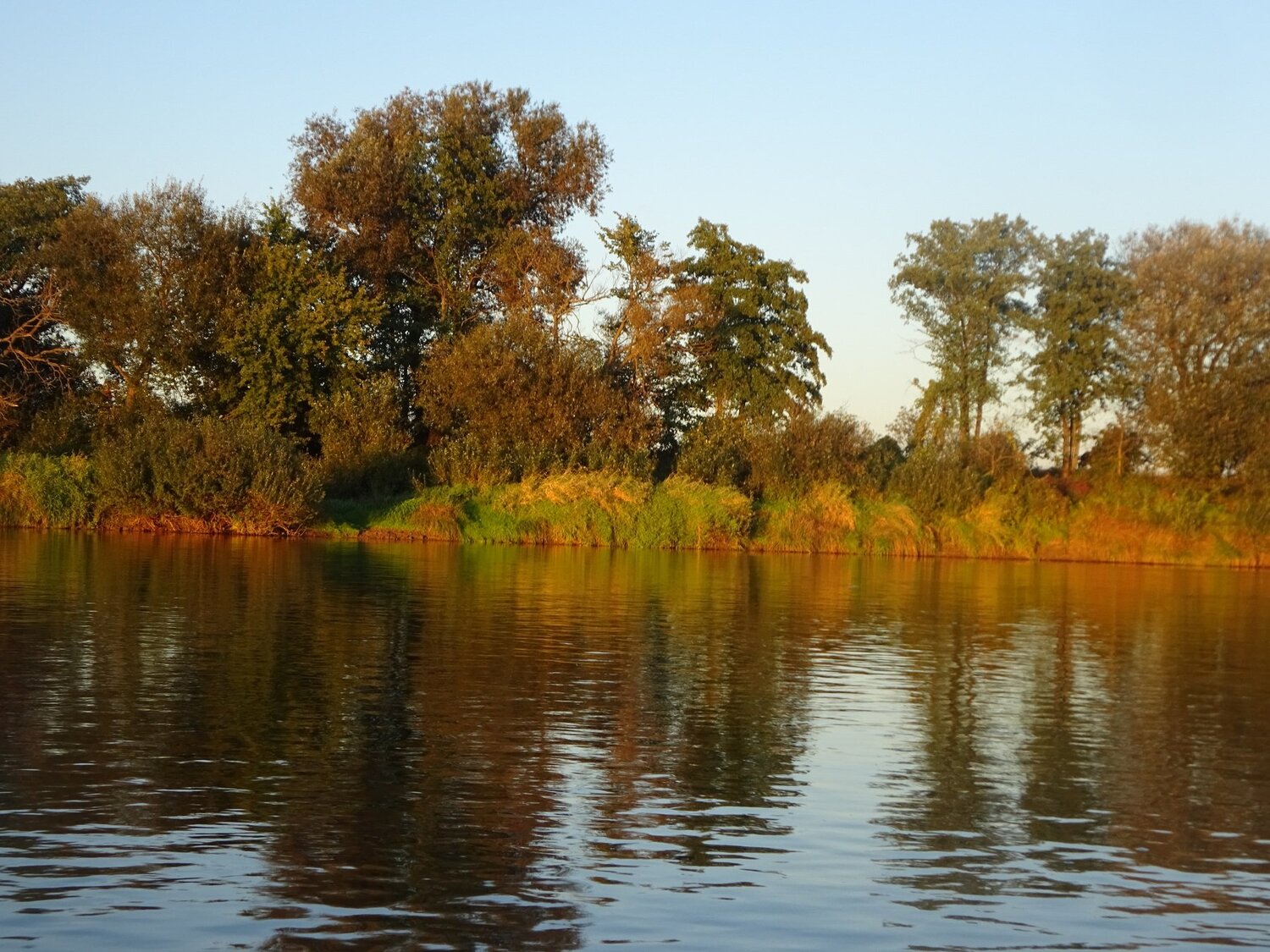 Краски осени в закате на Днепре