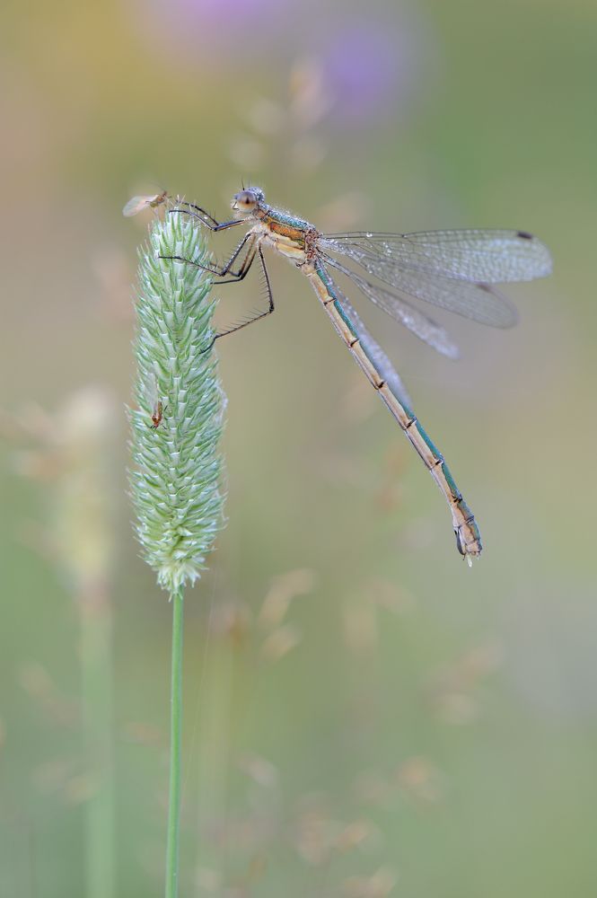Всем доброе утро.