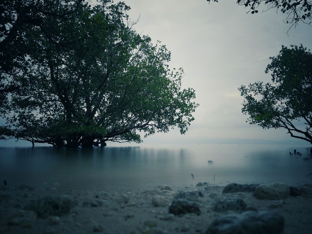 Calmness