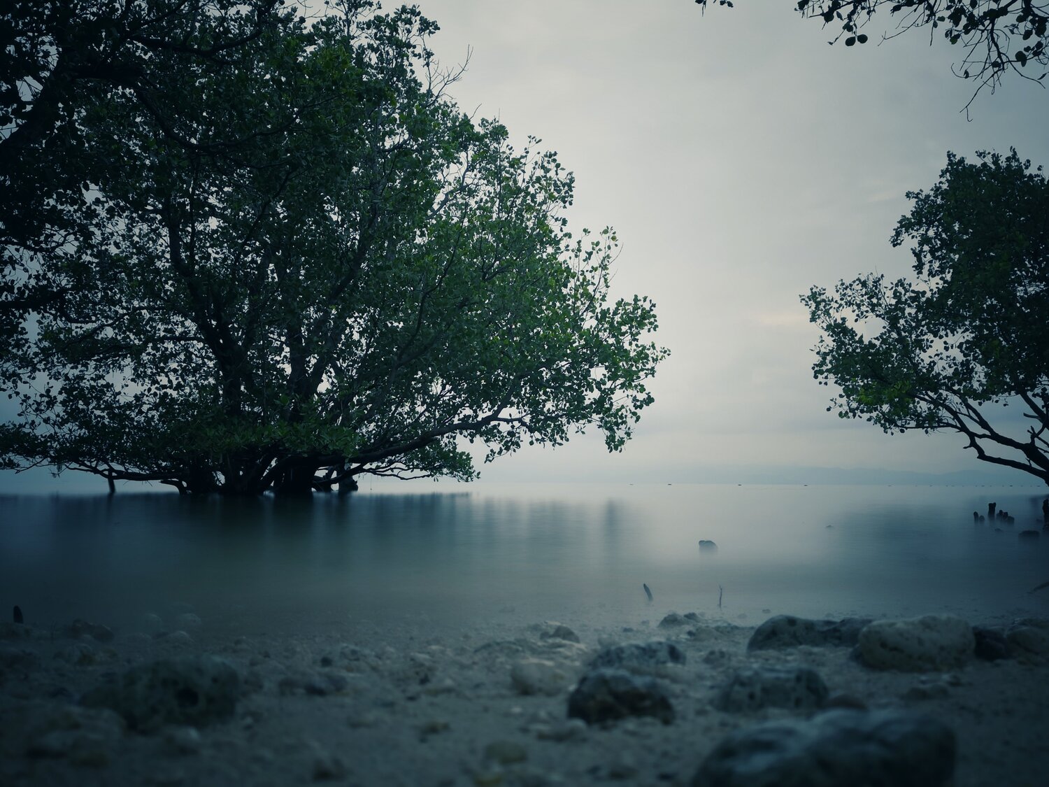 Calmness