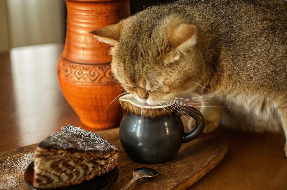 Неожиданно..