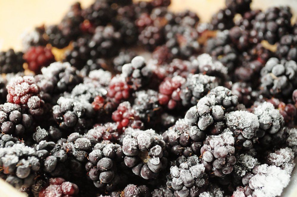 blackberry with an anime