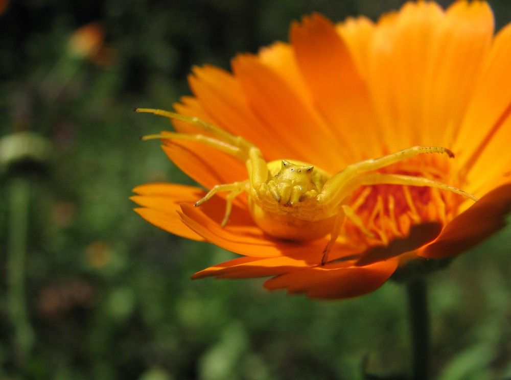 Go away i'm not joking...