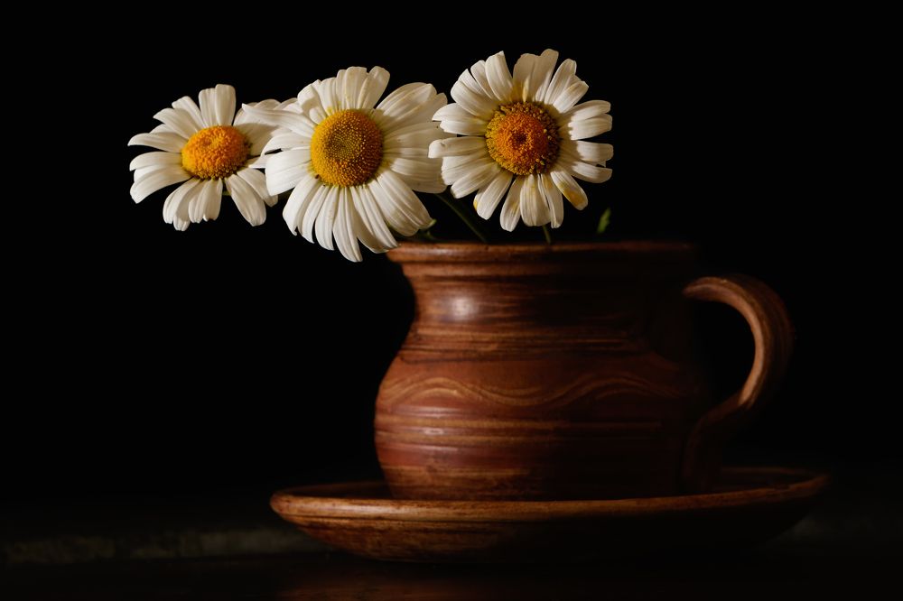 Фотография автора Андрей Серый