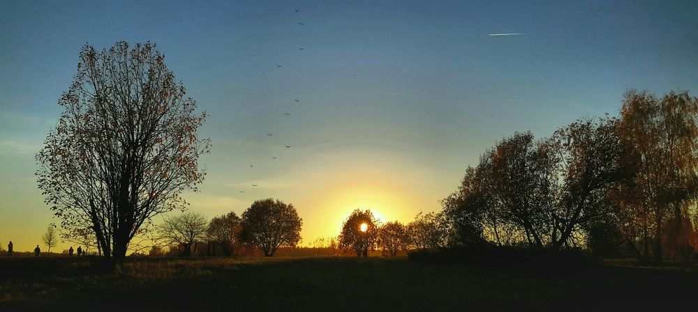 Осенний закат в битцевском парке