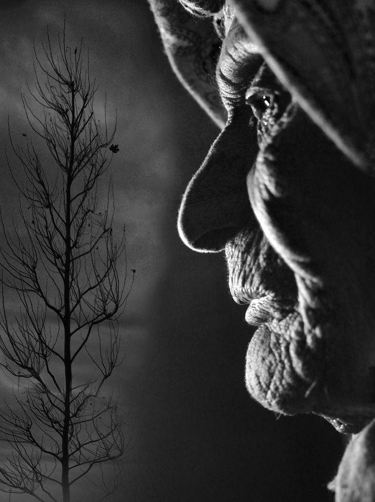 время летит   the time is fast