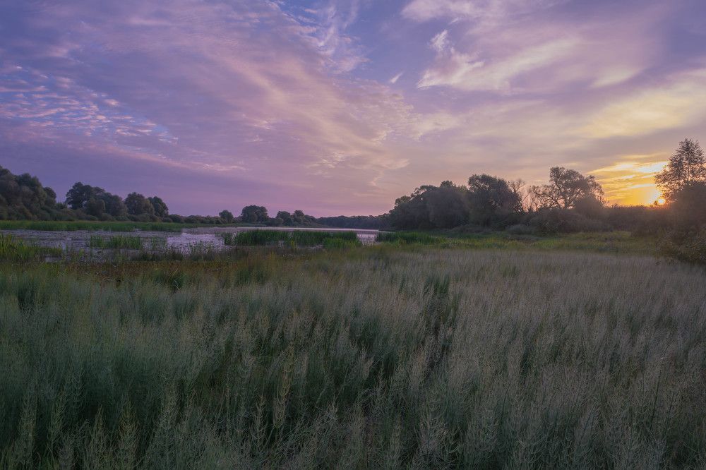 утренняя зорька