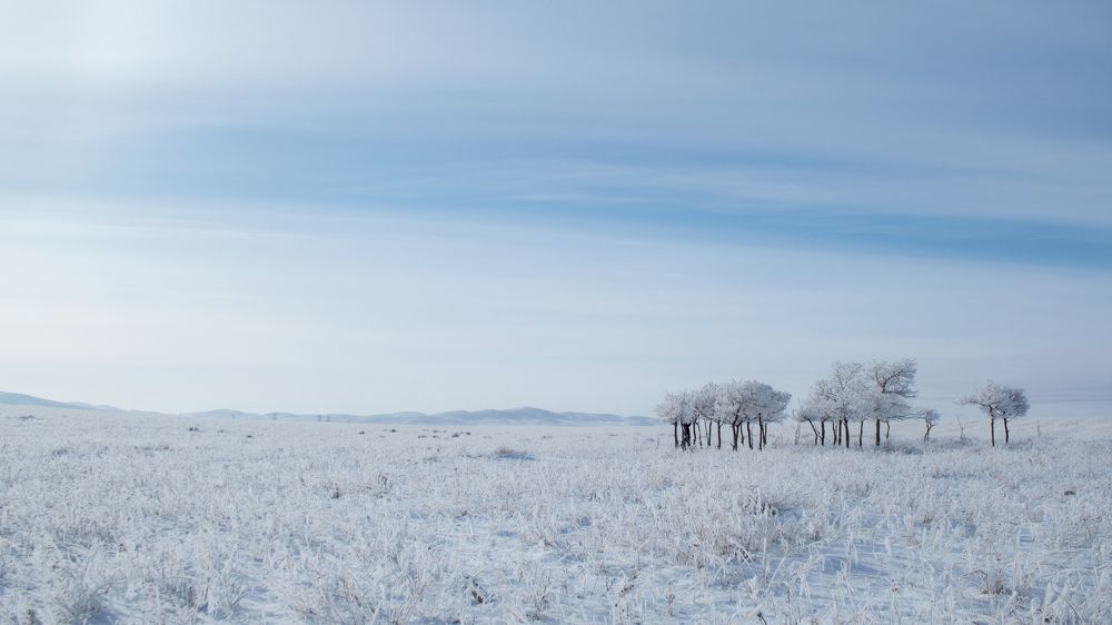 Планета Зима