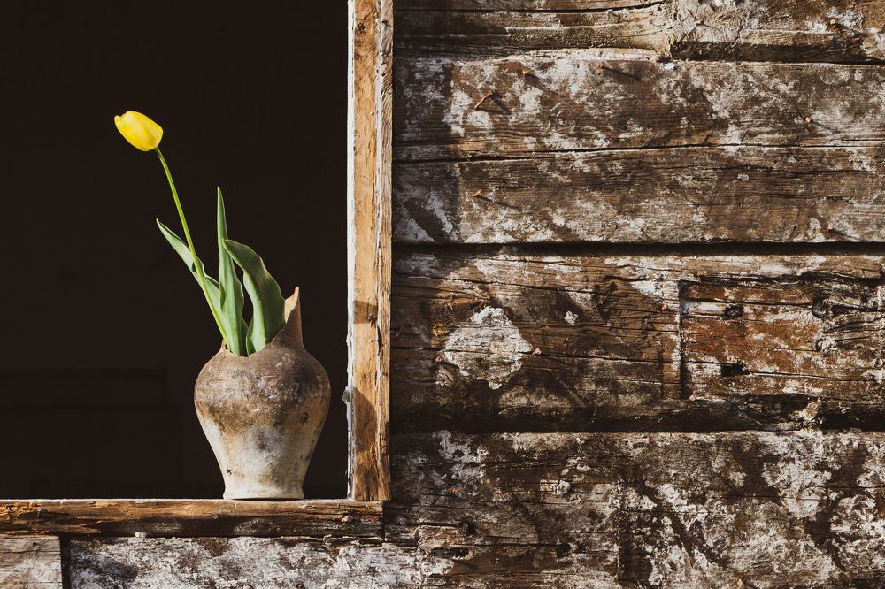 Фотография автора Андрей Серый