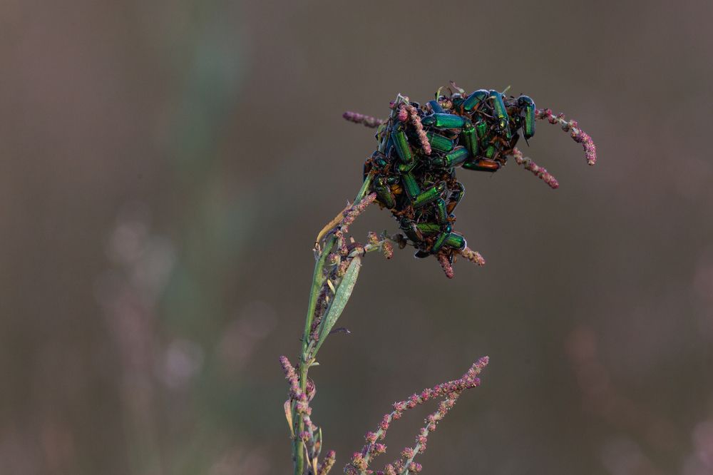 Photograph by Алексей Кашин