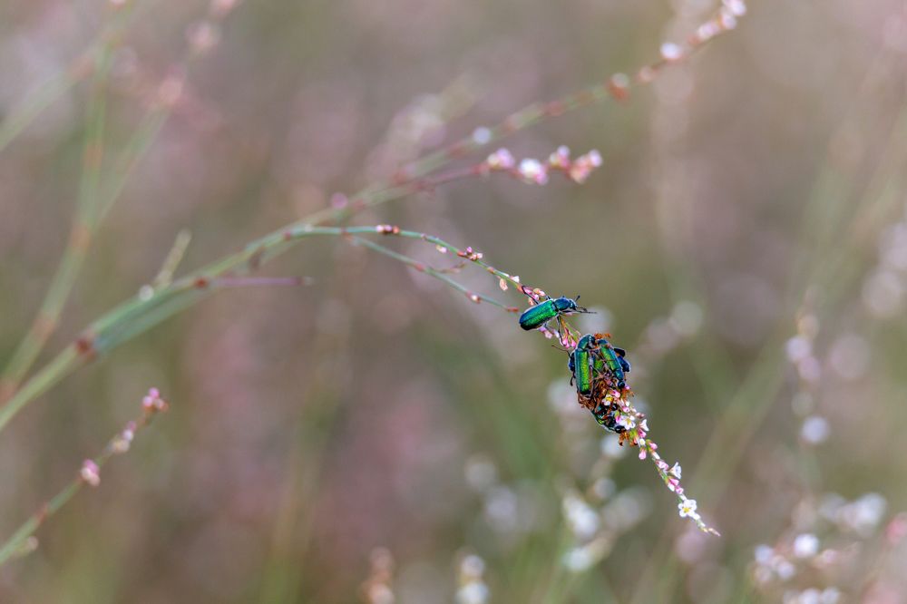 Photograph by Алексей Кашин