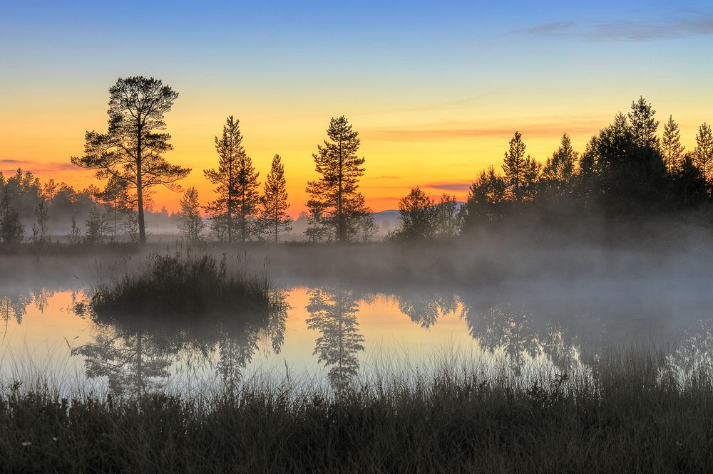 Photograph by Olga Akhmetova