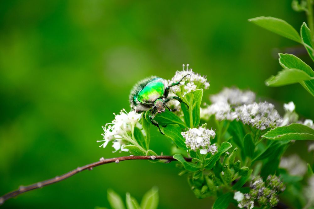 Знакомство