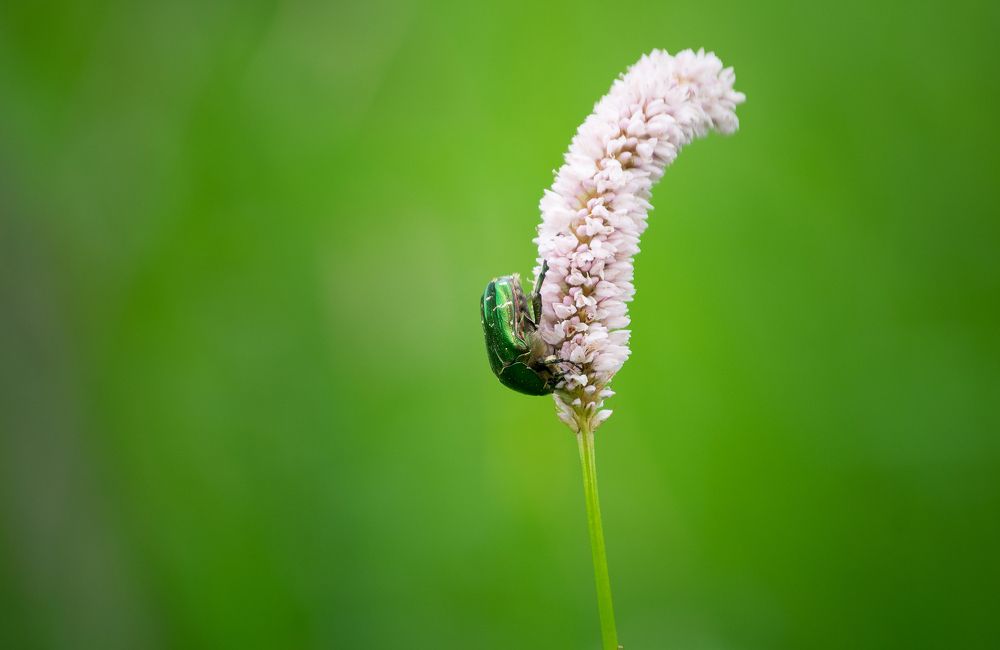 Рабочие будни