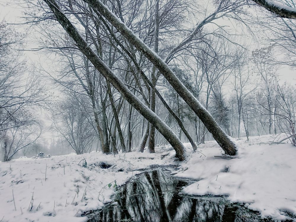 Зимний парк