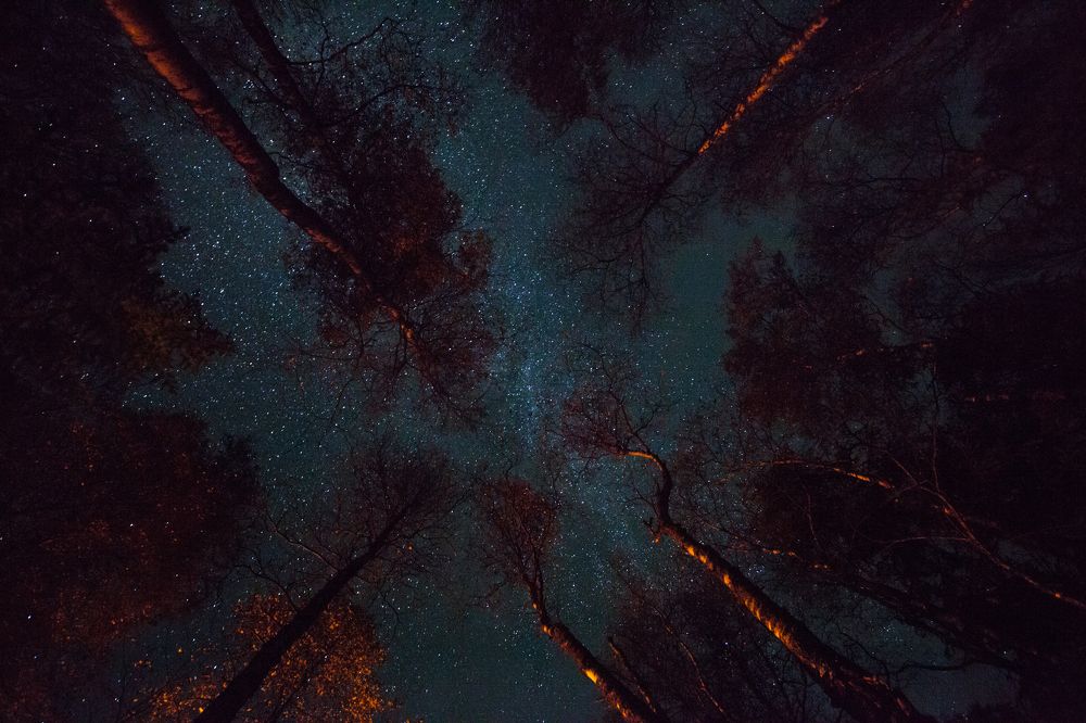 Photograph by Артем Никитин