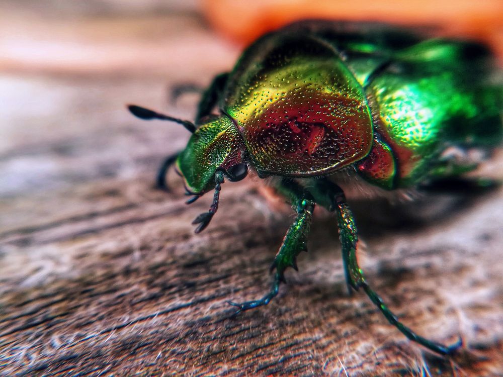 Photograph by Ekaterina Fadeeva