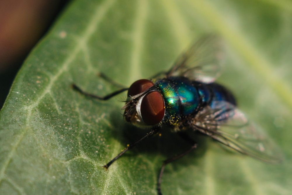 Photograph by Сергей Данилюк