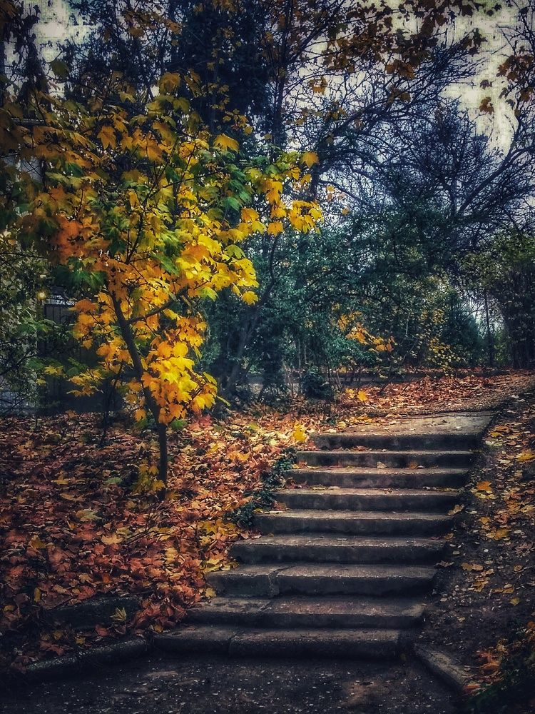 Город бывает разный...