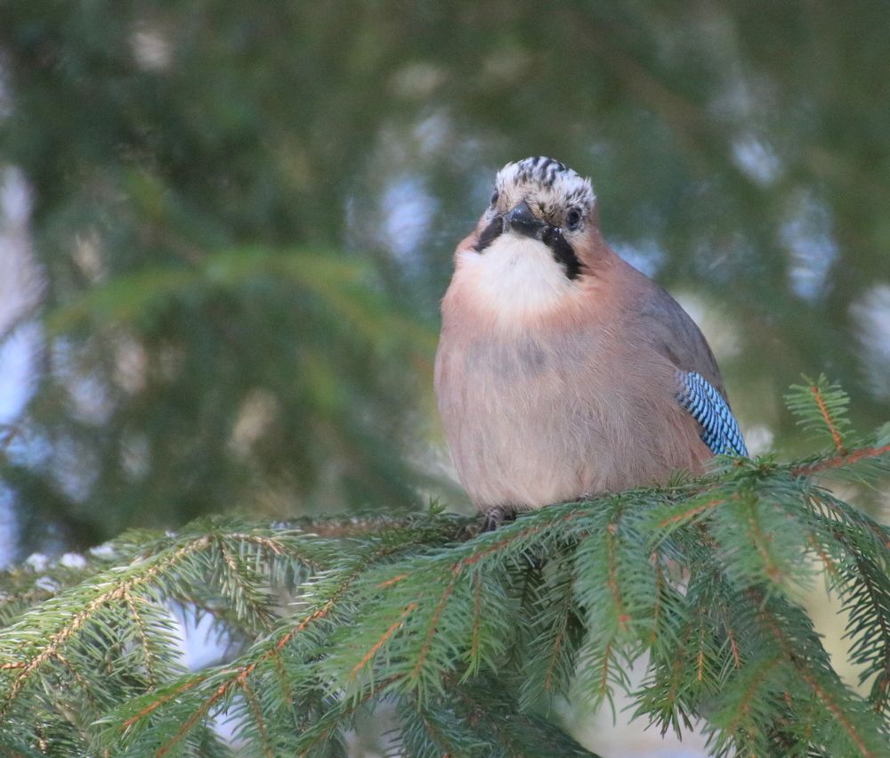 На солнышке